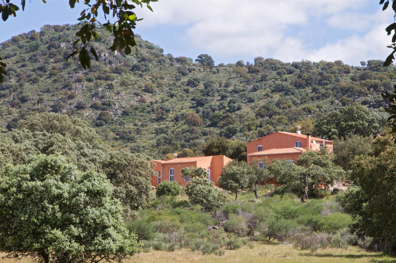 Finca El Rabilargo Arroyomolinos de Montánchez Zimmer foto